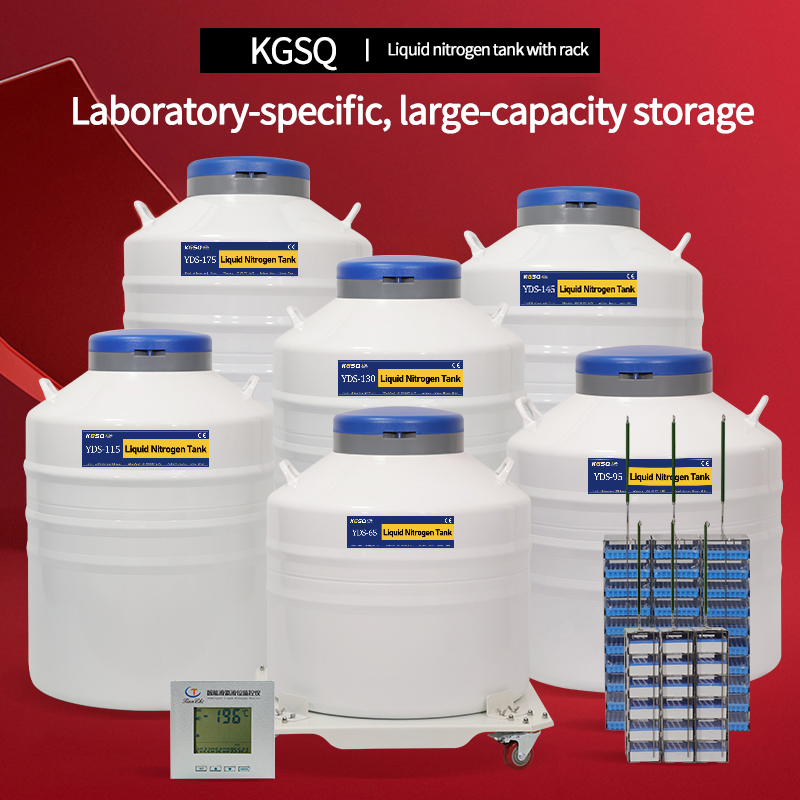 Qatar-liquid nitrogen tank for cell storage price-dewars liquid nitrogen