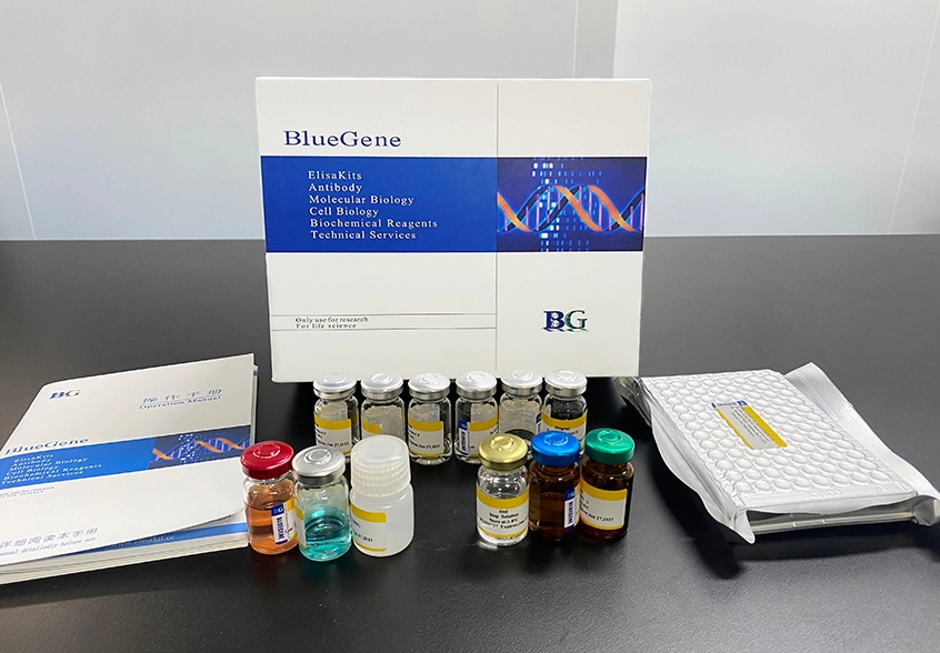 BlueGene Biotech Human Active Caspase 3 ELISA kit (E01A0015)