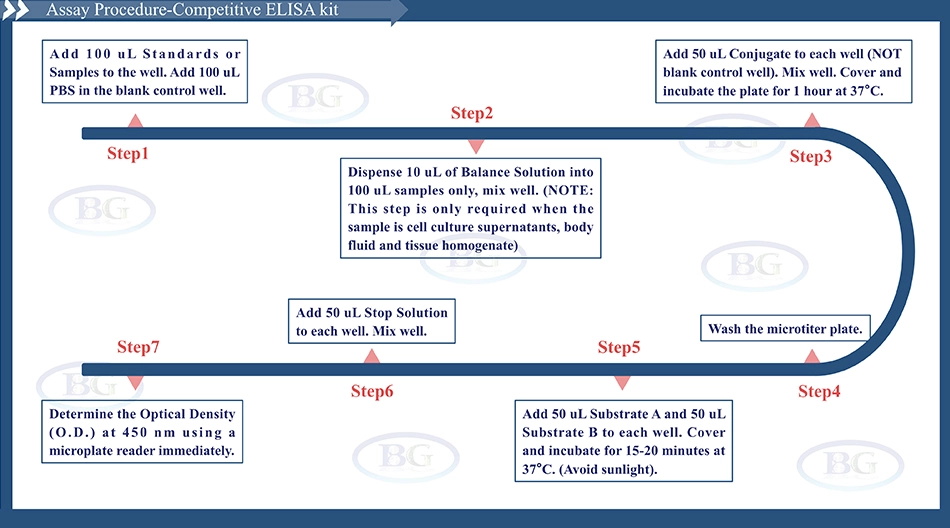 BlueGene Biotech Mouse Antioncogene P62 Protein ELISA kit (E03A0056)