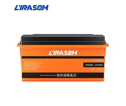 24 VOLT LIFEPO4 BATTERY