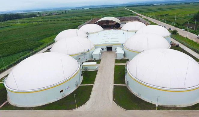 Harbin, Heilongjiang | Derun Biomass Cogeneration Project