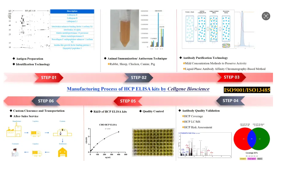 Host Cell Protein Detection Kits