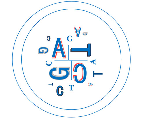 Plasmids Cellgene Bioscience Plasmids