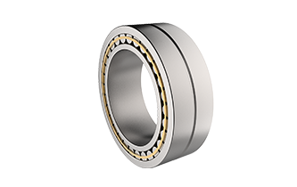 Double Row Cylindrical Roller Bearing