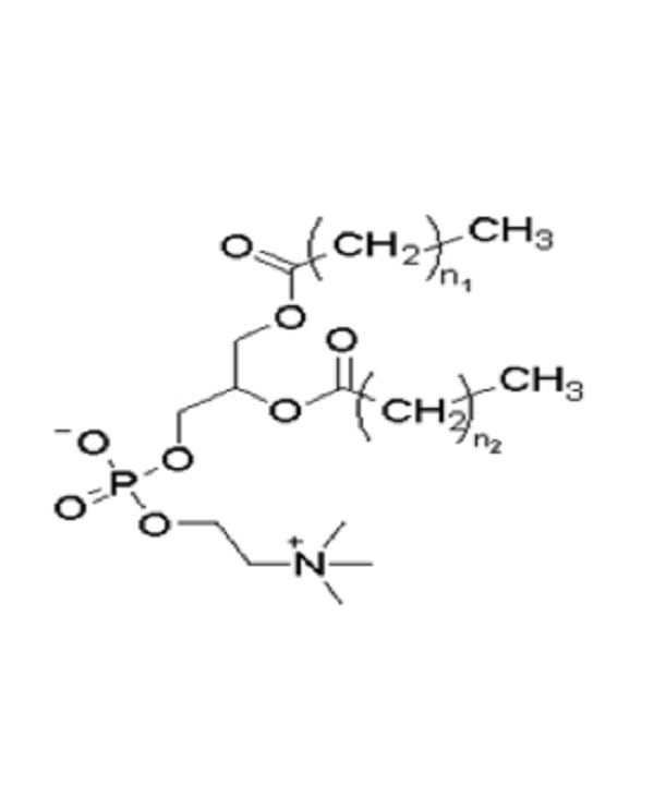 Pharmazeutische und chemische Produkt Maschinen