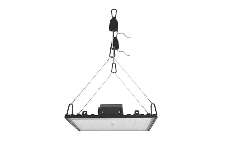 800w Led Grow Light