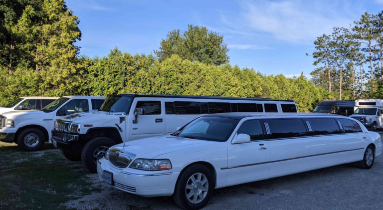 Party Limo Service Toronto | Goodtime Limousine