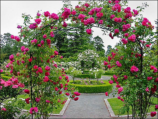 Trabalhos de paisagismo em jardins