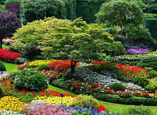 Landschaftsgärtnerische Bauleistungen für Gartenanlagen