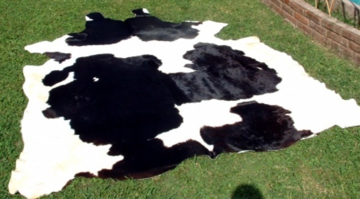 Cow skin