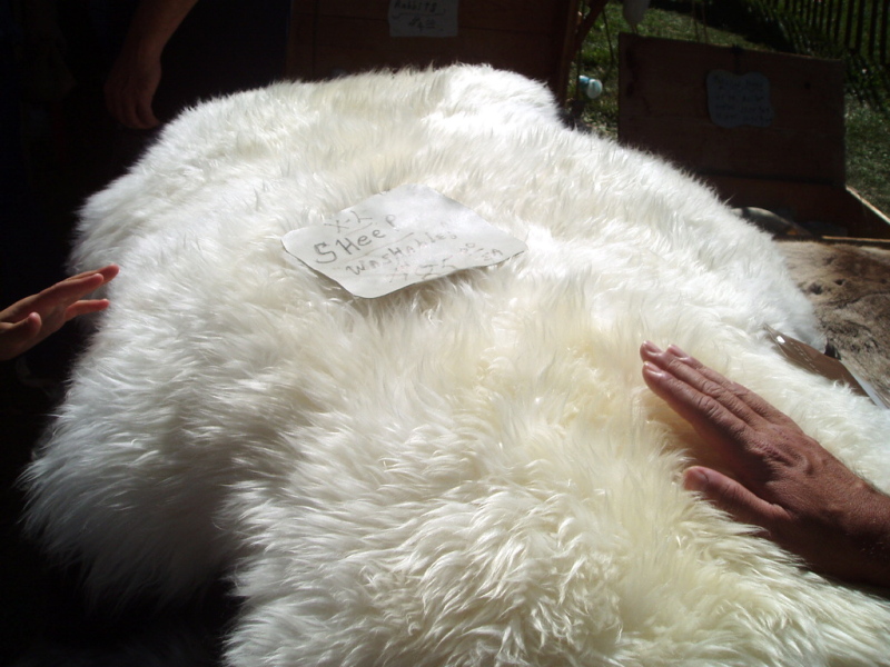  Sheepskins