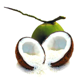 Desiccated Coconut Medium Grade