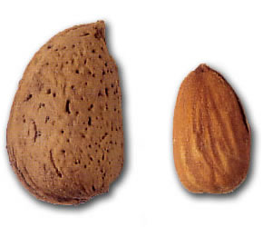 Almendras