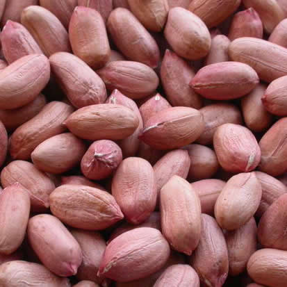 Գետնանուշ / groundnuts