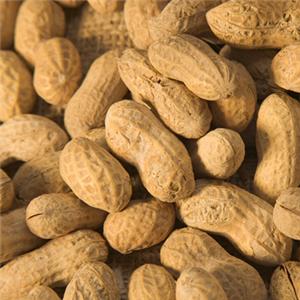 Peanuts / groundnuts