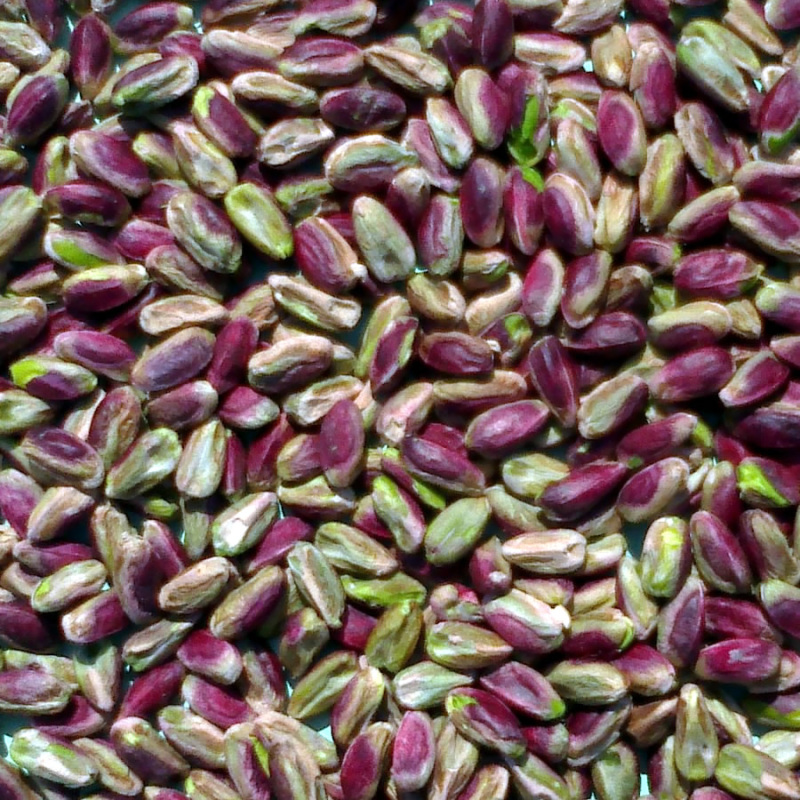 Pistachio கொட்டைகள்