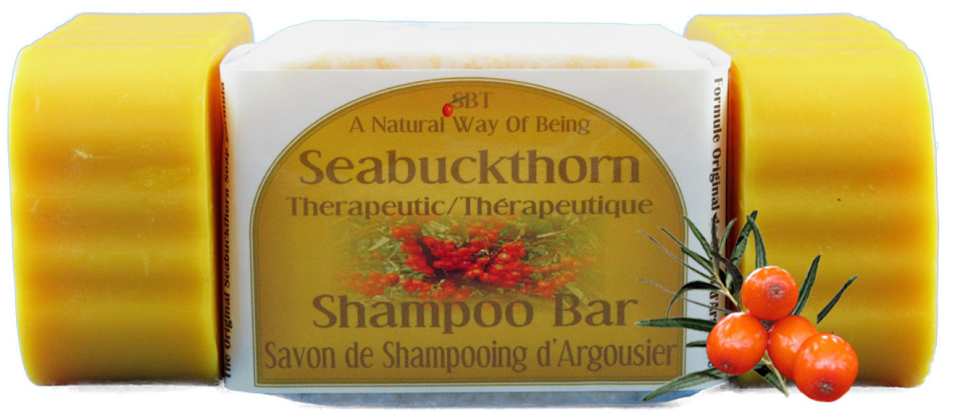 SHAMPOOBARS