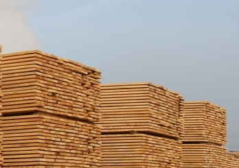 SYP Lumber