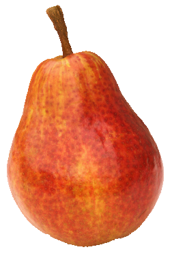 Safi pears