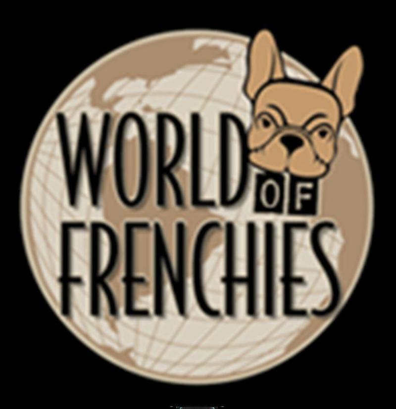 bulldog french