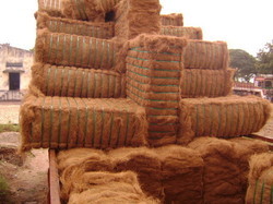 Coir fiber