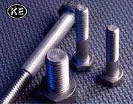 Hex Nuts