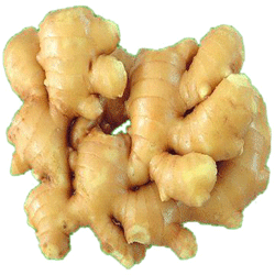 Ginger úr