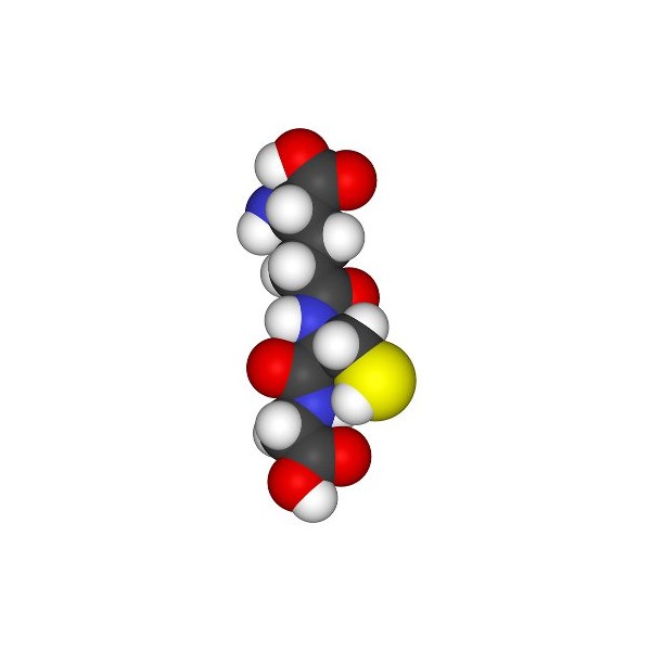 Glutathione (L-Glutathione Reduced)