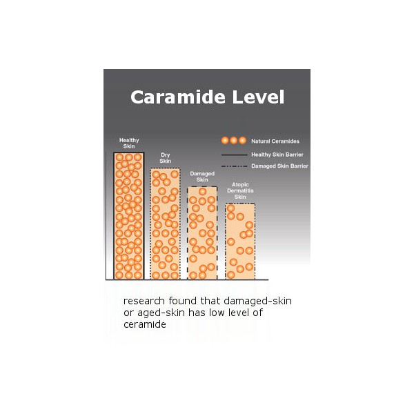 Ceramide Complex (CeraTouch™)