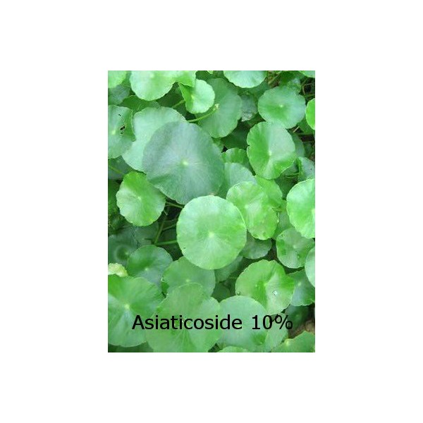 Centella Asiatica Extract (Asiaticoside)