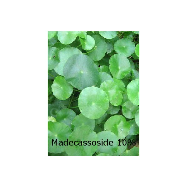 Centella Asiatica Extract (Madecassoside)