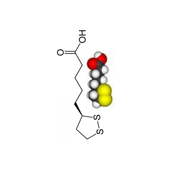 Alpha Lipoic Acid (ALA)