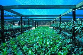 Greenhouse shade cloth