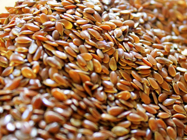  FLAX SEEDS: (Botanical name-Linum usitatissimum)