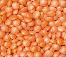  Red lentils