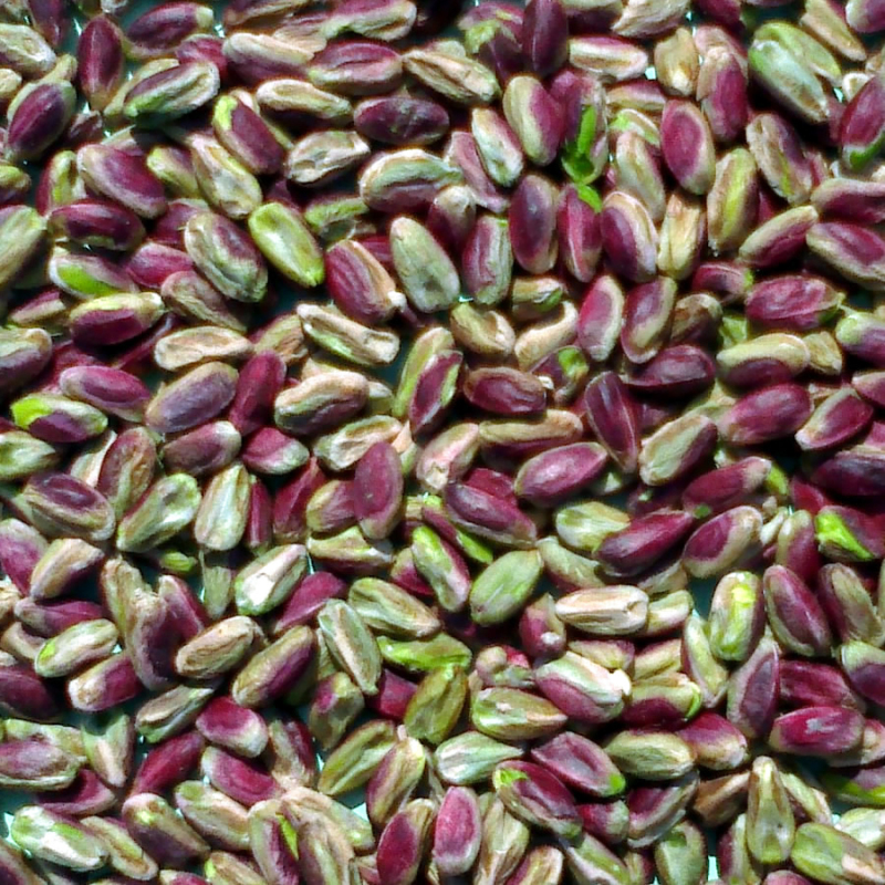 Shelled pistachios