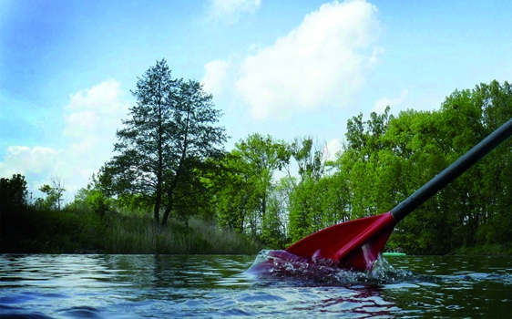 Rafting og fløting