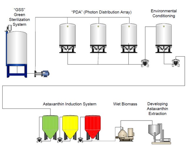 Biotechnical، تحقیق، تجارتی