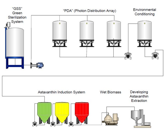 The Algaecan production process consists of 3 critical components
