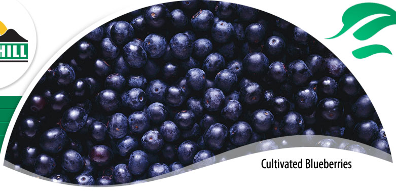 Pejsts tal-frott minn blueberries