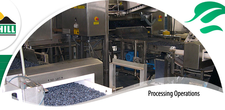 Cultivated Blueberry and Red Raspberry processing operations