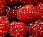 Framboises