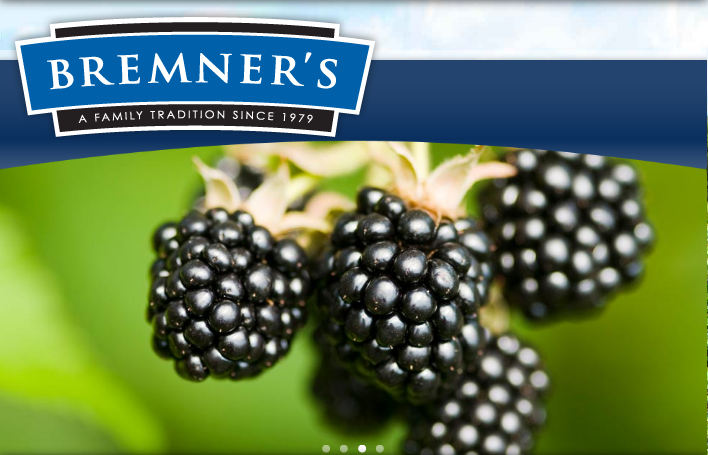 Blueberries, fermer təsərrüfatları