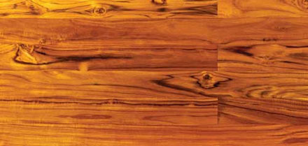 Teak Lumber