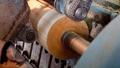 Produttori di legno compensato e impiallacciature