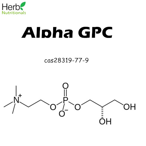 Alpha GPC 50% CAS 28319-77-9