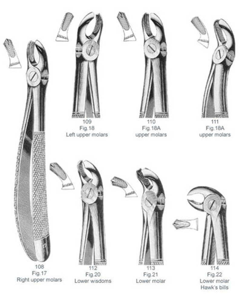 Dental Forceps 