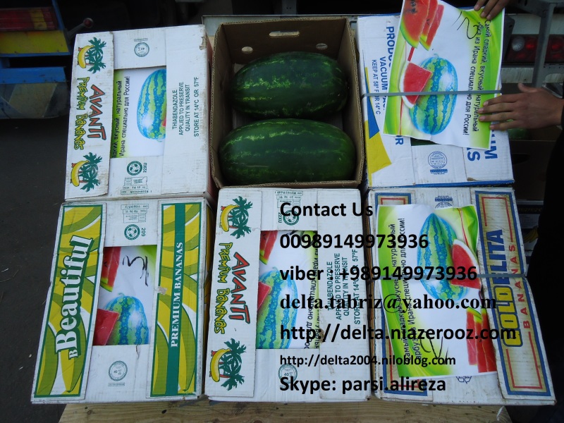 Watermelon fruits with thick skin and different sizes. Yellow and dark green color, within which red, pink or white can be seen, slightly fragrant and tropical countries, taking a great summer. One hundred grams of a 30 kilo calories, 4.0 grams protein, 2.