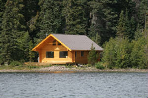 Technologically Advanced Timber Log Homes