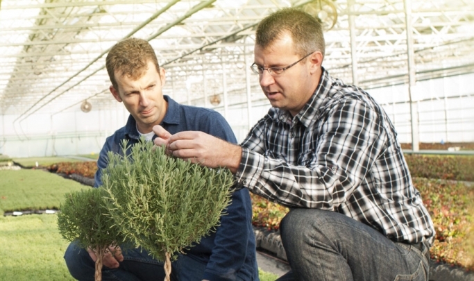 Paslaugos augalininkystės produkcijos,